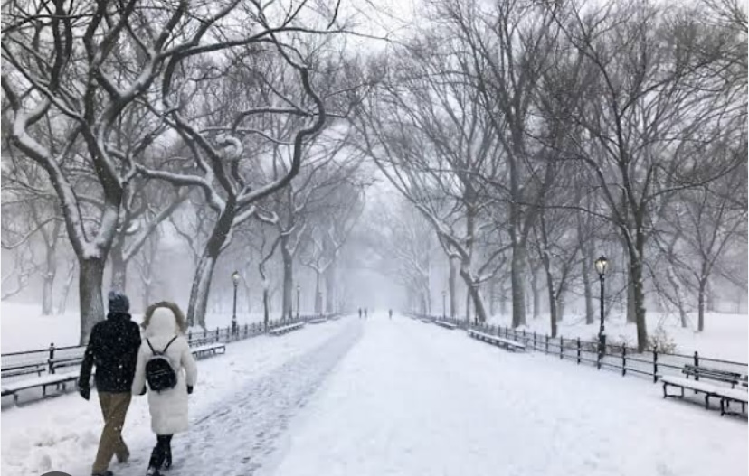 Personas caminando por un camino de nieve

Descripción generada automáticamente