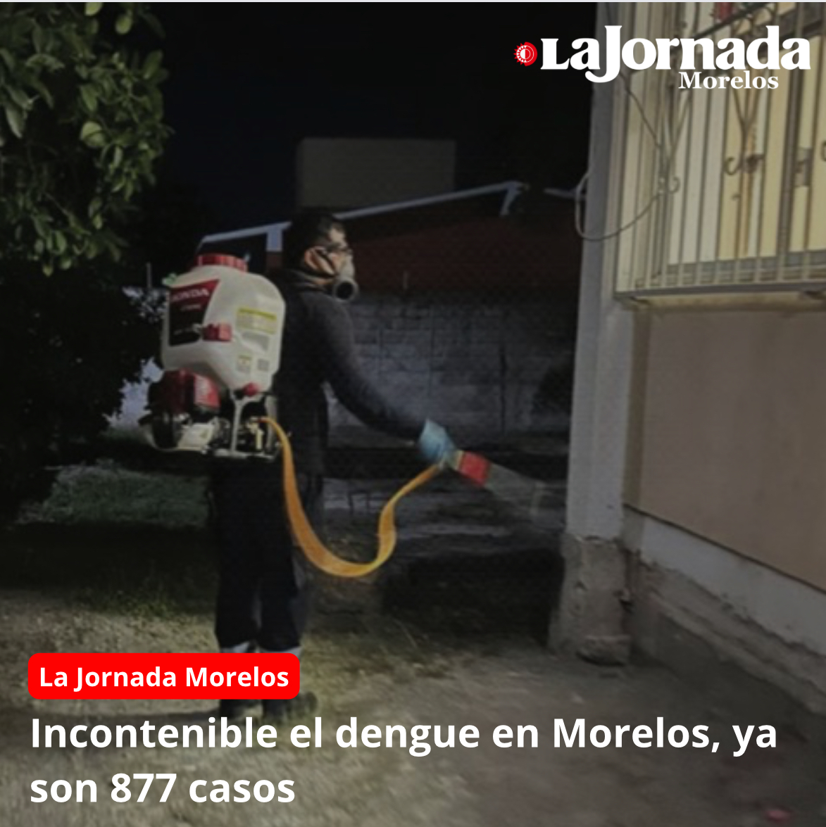 Incontenible el dengue en Morelos, ya son 877 casos