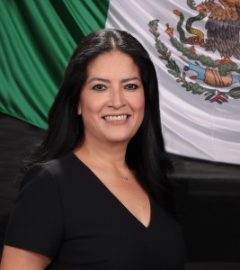 Mirna Zavala Zúñiga diputada plurinominal del partido Encuentro Social |  Abriendo el Congreso - LV Legislatura