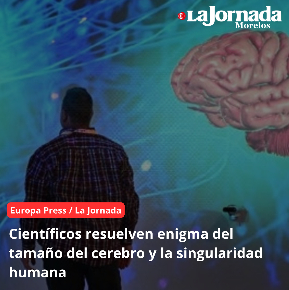 Científicos resuelven enigma del tamaño del cerebro y la singularidad humana