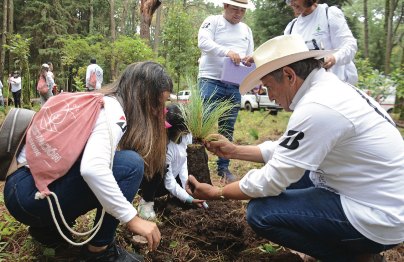 Ciudadanos, empresas y autoridades rescatan los bosques de Cuernavaca