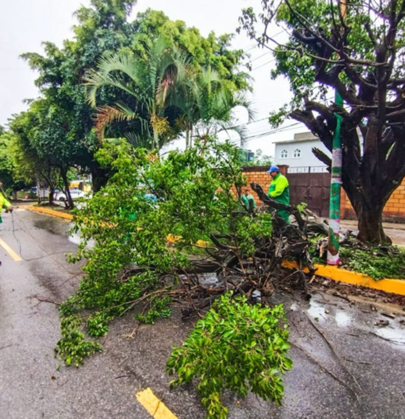 Aún no hay daños severos por lluvias: Samuel Sotelo
