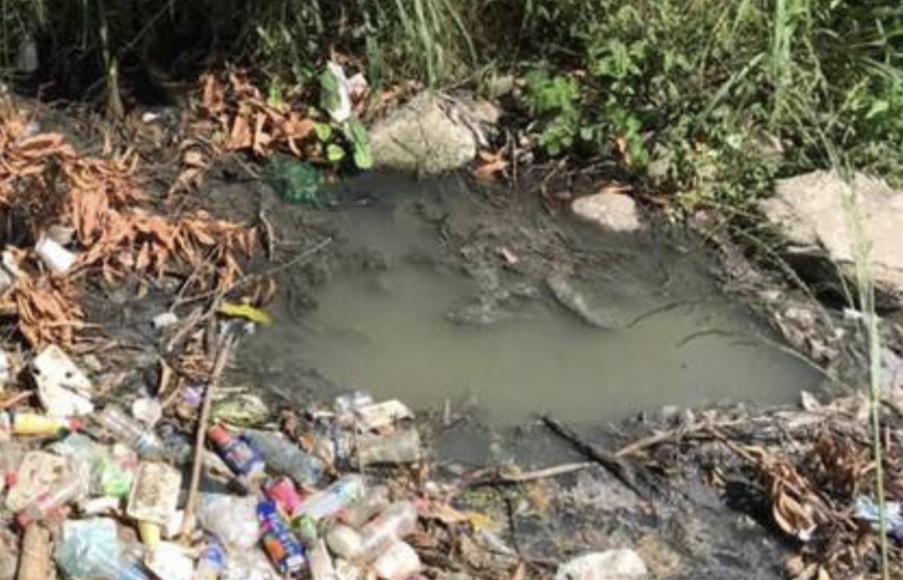Sin atender, contaminación en el Río Cuautla - LA JORNADA MORELOS